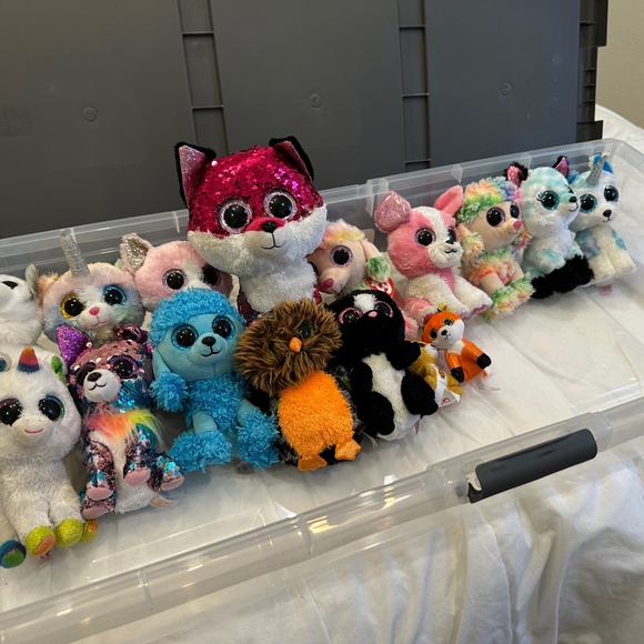 TY Collection - Picture 1 of 1